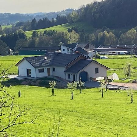 Charmant Gite, Au Calme, Avec Vue Imprenable Sur La Nature Environnante Deycimont Exterior foto