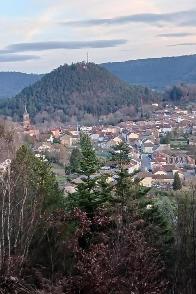 Charmant Gite, Au Calme, Avec Vue Imprenable Sur La Nature Environnante Deycimont Exterior foto