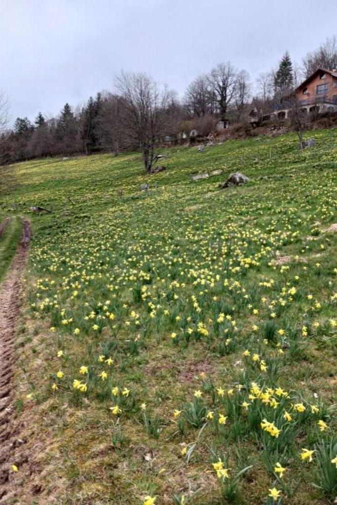 Charmant Gite, Au Calme, Avec Vue Imprenable Sur La Nature Environnante Deycimont Exterior foto
