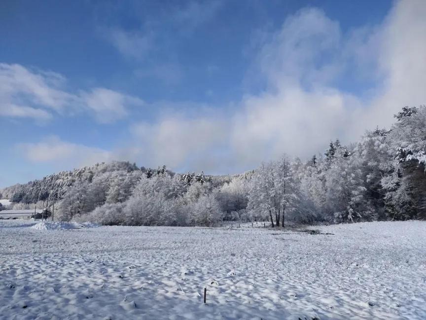 Charmant Gite, Au Calme, Avec Vue Imprenable Sur La Nature Environnante Deycimont Exterior foto